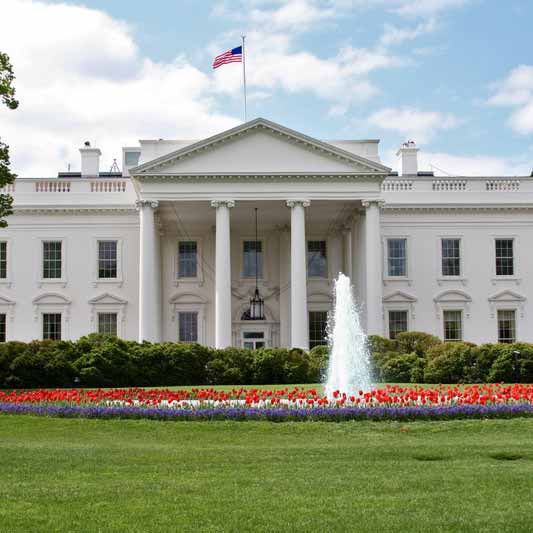 White House Axes Trump Nominee in Stunning Turn